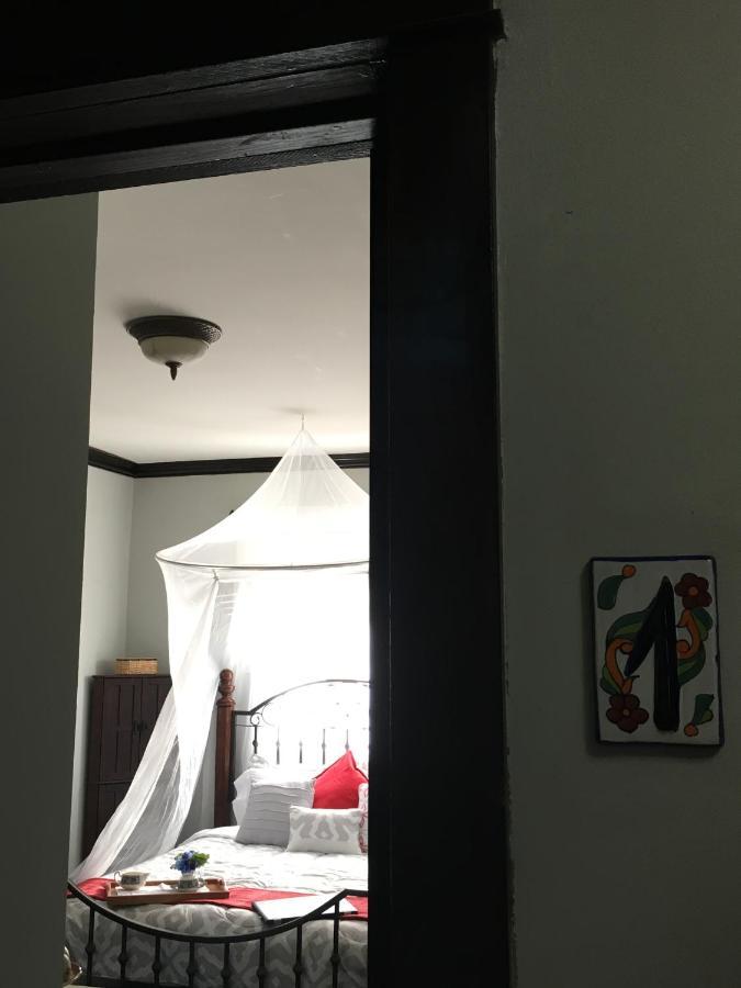 Heavenly Suite In Little Havana Free Parking Miami Exterior photo
